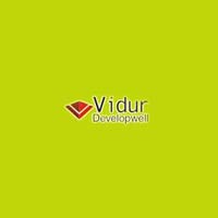 Vidur